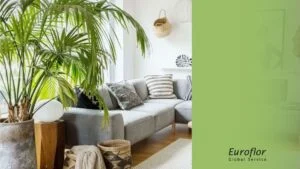 to decorate-artificial-plants-home