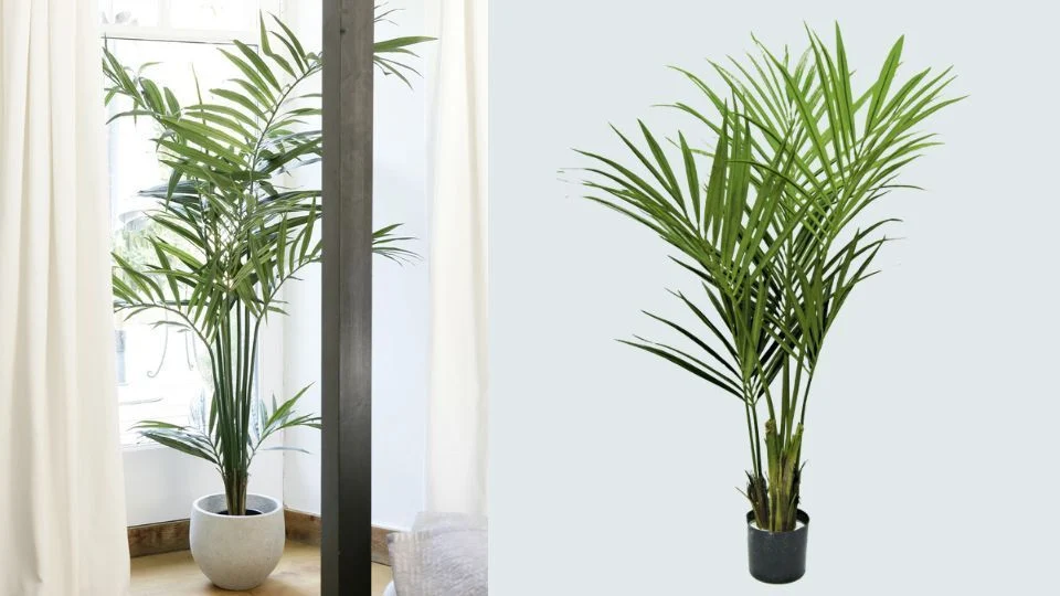 kentia artificial calidad kentia artificial calidad