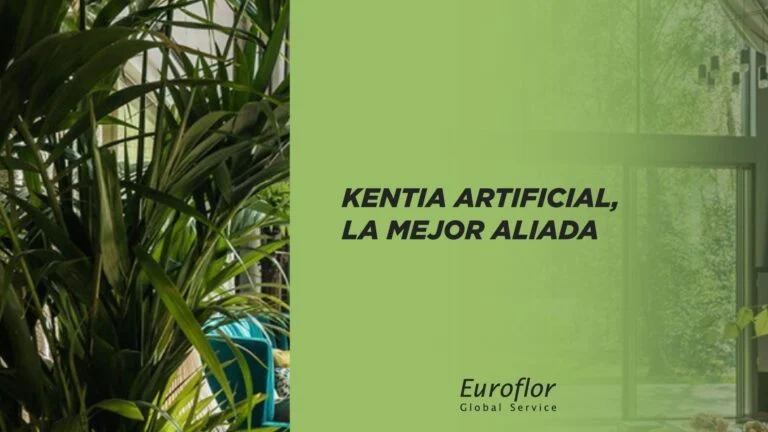 kentia-artificial-elegir