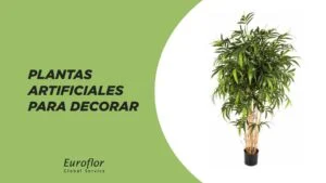 Decorate with an artificial plant