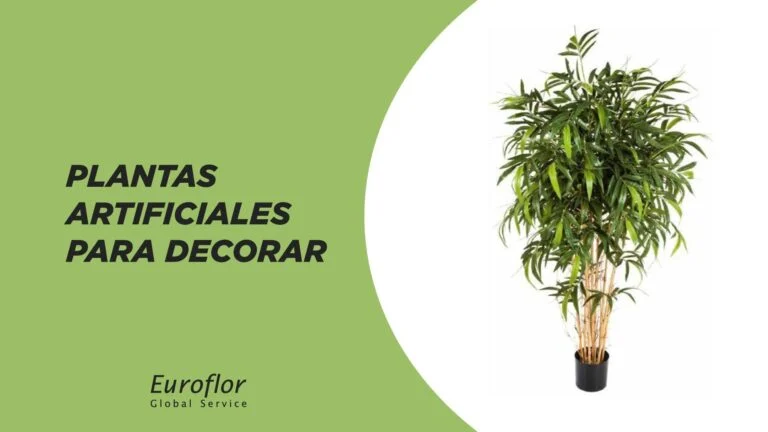 Decorate with an artificial plant