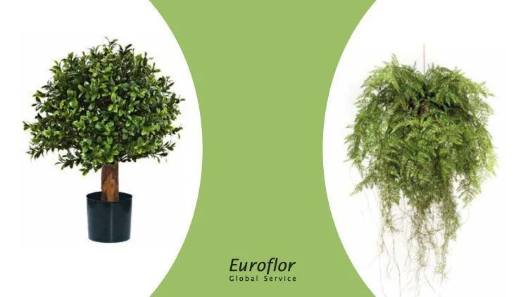small-artificial-plants-euroflor