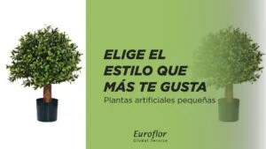 planta-artificial-pequeña-elegir