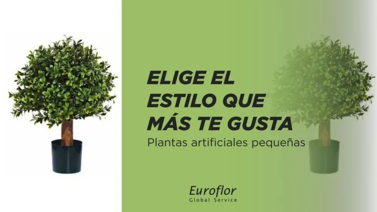 small-artificial-plant-choose