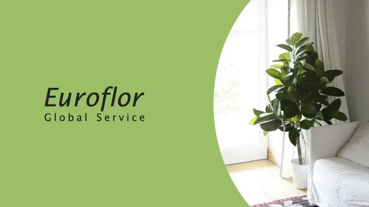 salon-artificial-opciones