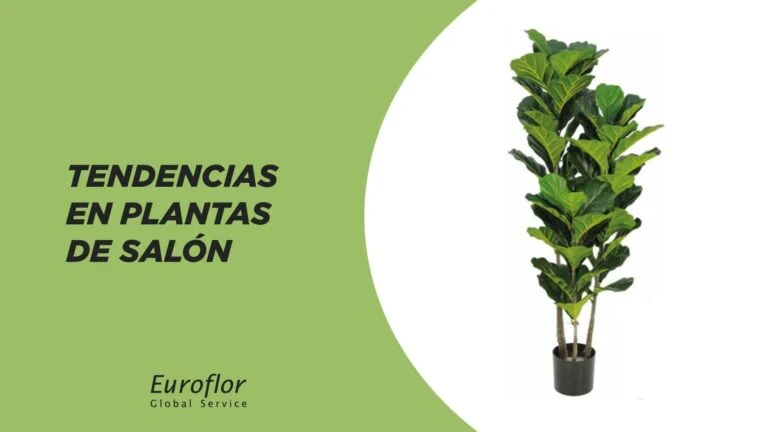 tendencias-plantas-salon