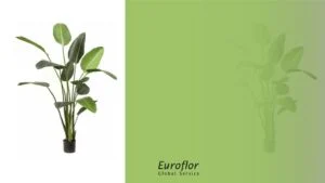 styles-artificial-plants-shapes