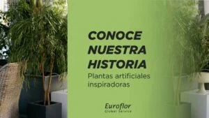 euroflor-historia-plantas-artificiales