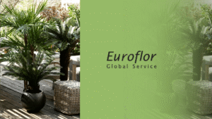 work space decorate euroflor artificial plants