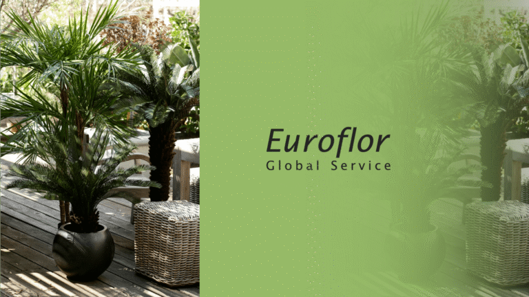 work space decorate euroflor artificial plants