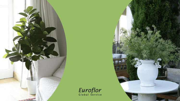 guia-hogar-decoracion-completa-como-hacer