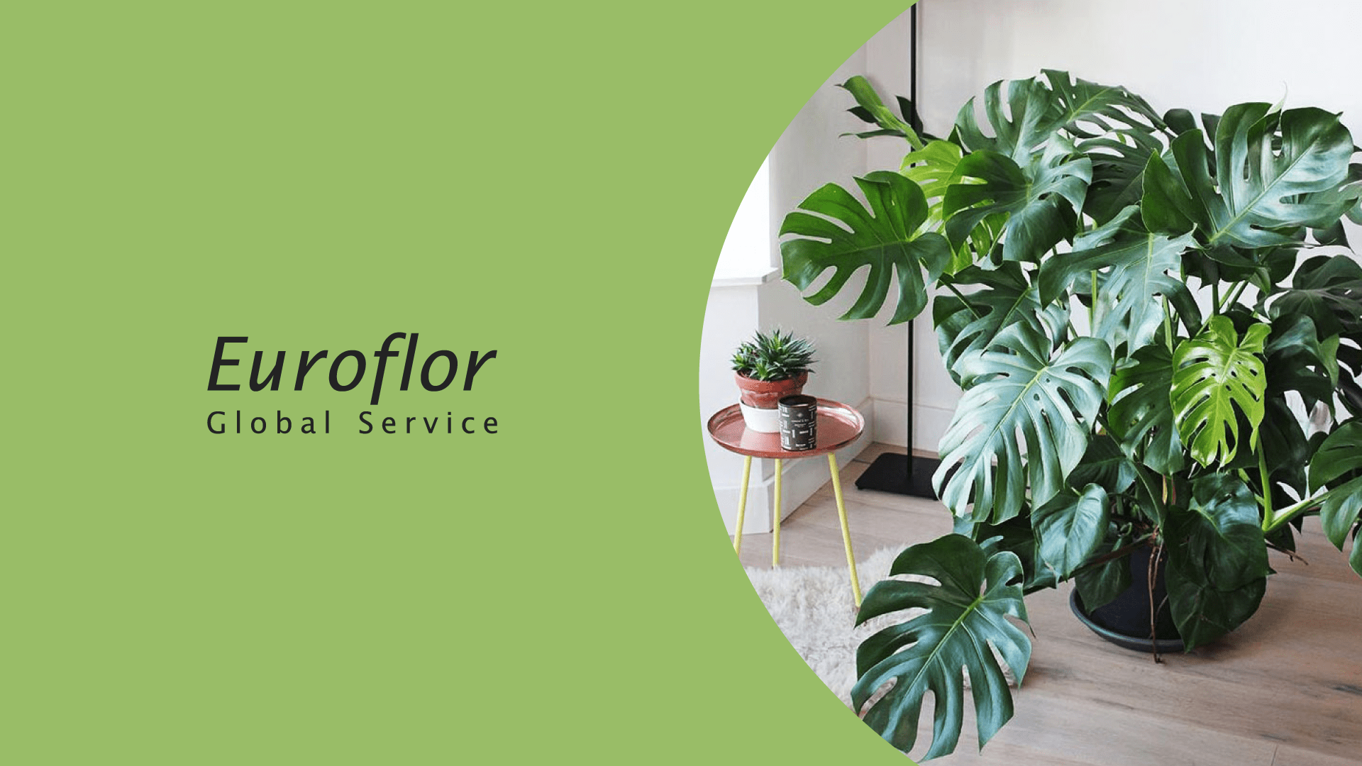 hogar plantas artificiales decoracion