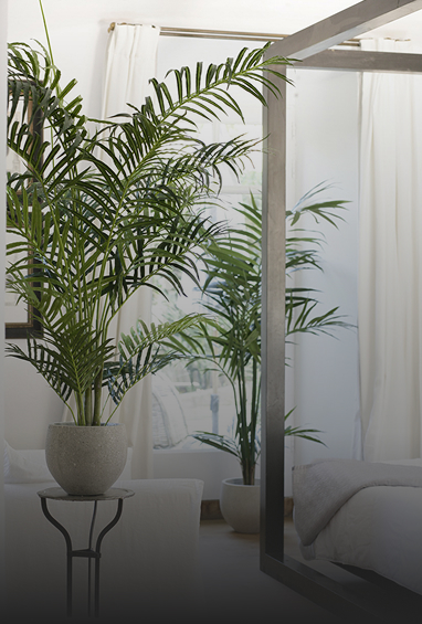 Plants-Img-2