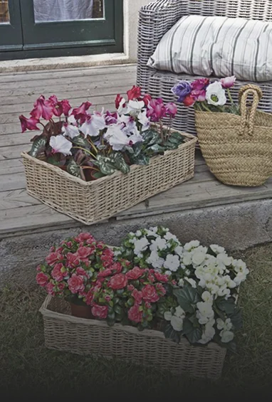 Garden-Img-2