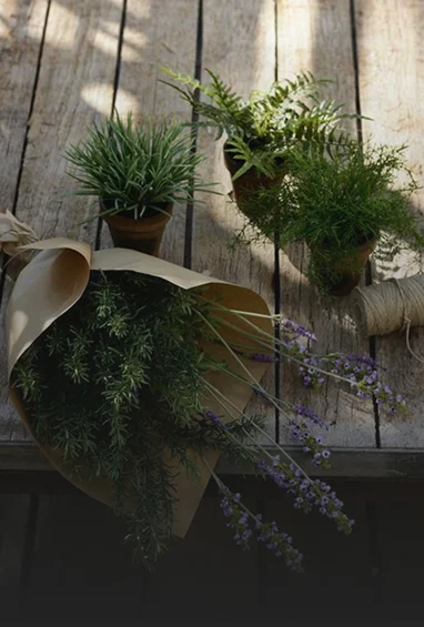 Garden-Img