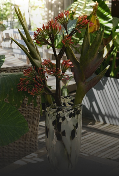 Orchids-Img-2