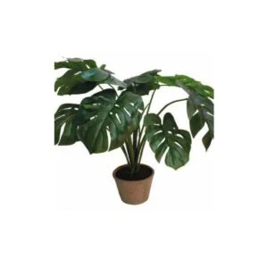 Monstera old pot artificial - Elegancia para tus espacios