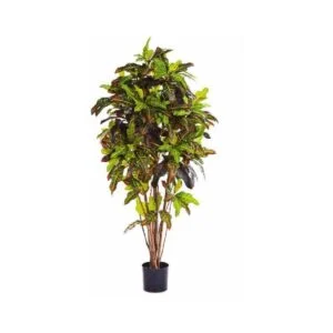 Croton - Una planta artificial que se complementa con cualquier estilo