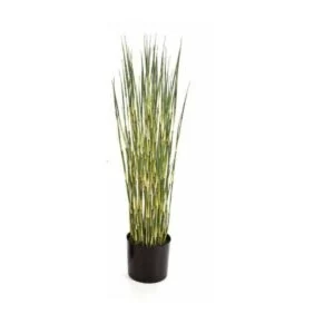 Horsetail - Disfruta de tu refugio más íntimo