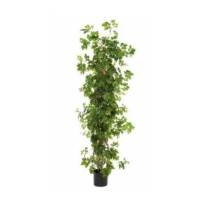 Cissus artificial - Estilizada y llena de realismo - 100 cm