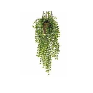 Ficus colgante - Gran calidad y realismo