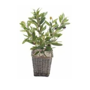 Olivo basket - Lleva los aires del mediterráneo a casa - 40 cm