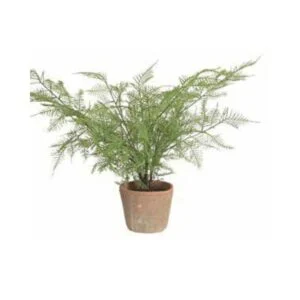 Asparagus artificial - Esperraguera - Completa tu estilo campestre