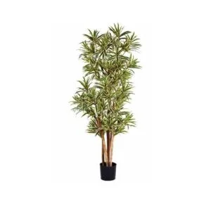 Dracaena Fragrans artificial - Un clásico chic para tus diseños