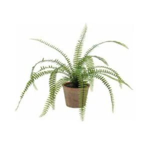 Helecho old pot - Fern realista y chic de 40 cm