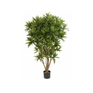 Dracaena reflex artificial - Toque bucólico en tus espacios - 145 cm
