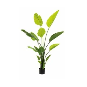 Sterlizia- La planta artificial perfecta para redecorar