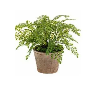 Adiantum old pot - Planta artificial de aspecto rústico