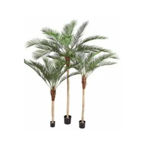 Areca palm - Lo tradicional y lo tropical en una sola planta artificial