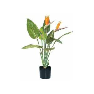 Sterlitzia aritifical - Dale un toque de naranja y vida al espacio