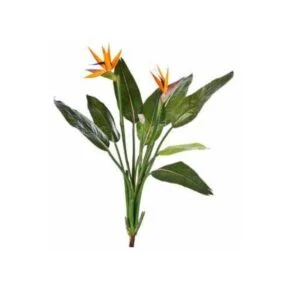 Sterlitzia - Viste el interior de casa con sus vivos colores