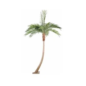 Cycus palm - Una planta artificial para soñar con el trópico