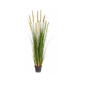 Foxtail artifical - Tu casa no será como las demás