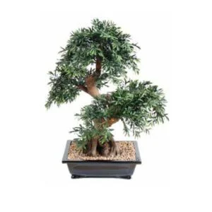 Bonsái sauce artificial - El Bonsái que te robará el corazón - 70cm