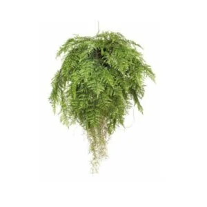 Helecho bal hang deco artificial - Protagonismo absoluto