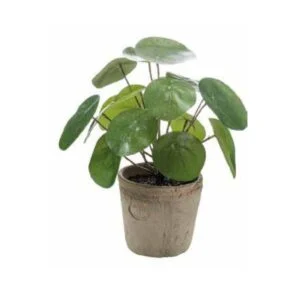 Pilea vintage pot - Planta artificial realista que enamora