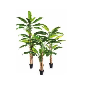 Bananero artificial - Verde que te quiero verde