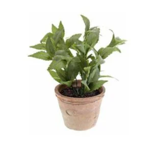 Mint old pot - Menta artificial - Frescura en tu cocina