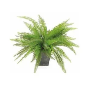 Helecho Zinc artificial- El punto chic que tus muebles necesitan
