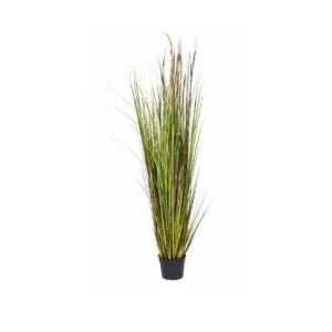 Foxtail - Todo un encanto vintage