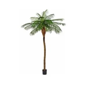 Palmera Phoenix Artificial - Palmera alta y fina: espectacular
