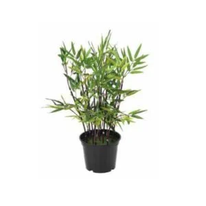 Bamboo pot artificial- Precioso bamboo de 60 cm