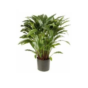 Calathea artificial- Protagonista en tu diseño