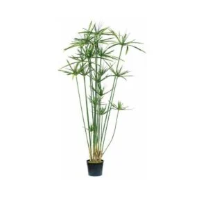 Papyrus - Decora tus espacios al puro estilo egipcio
