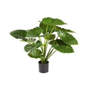 Alocasia artificial - Un toque de elegancia y naturalidad que buscas
