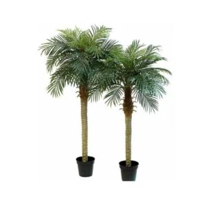 Palmera Phoenix Artificial - Ideal para los amantes deco